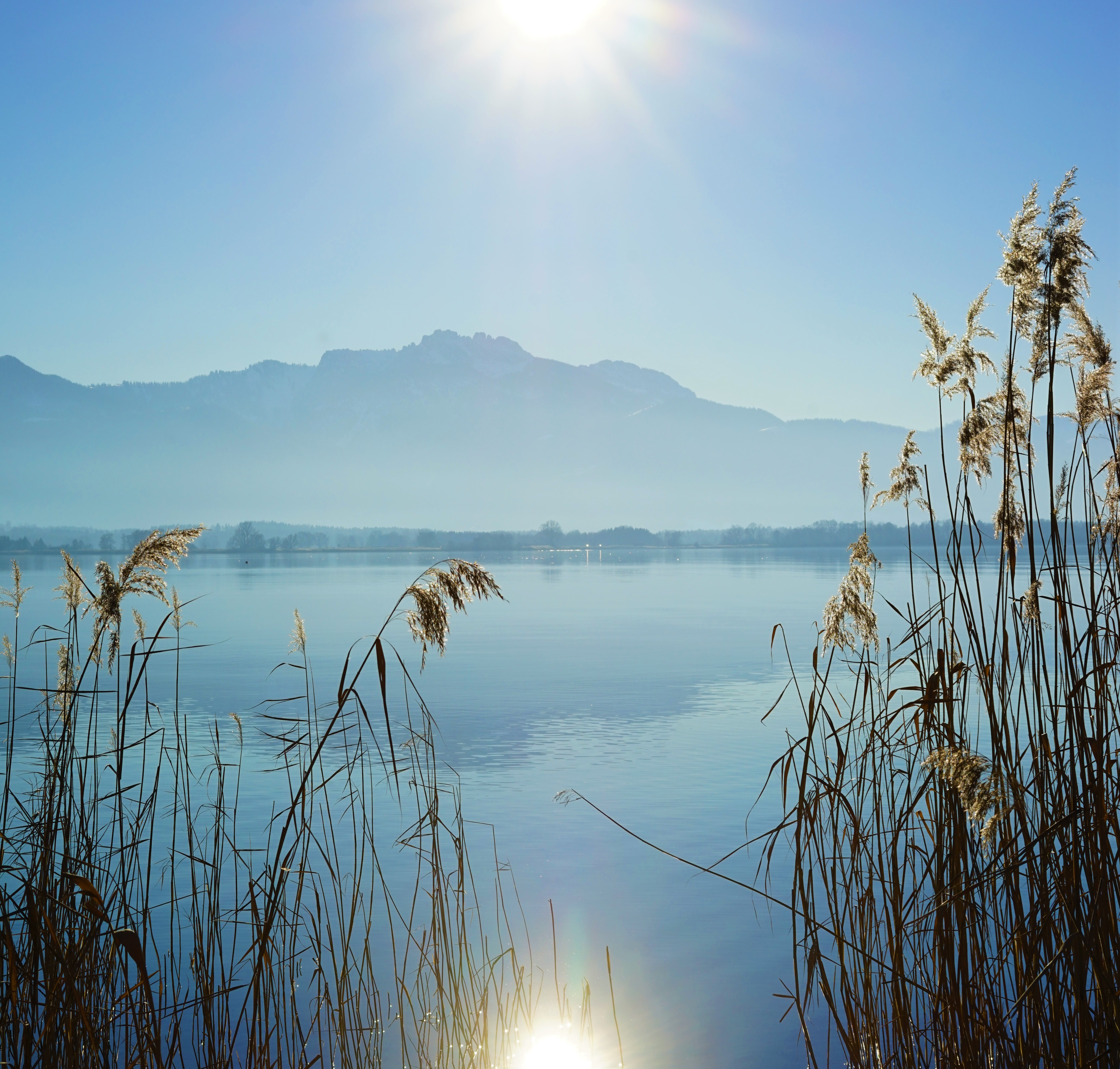 Panorama des Chiemsees